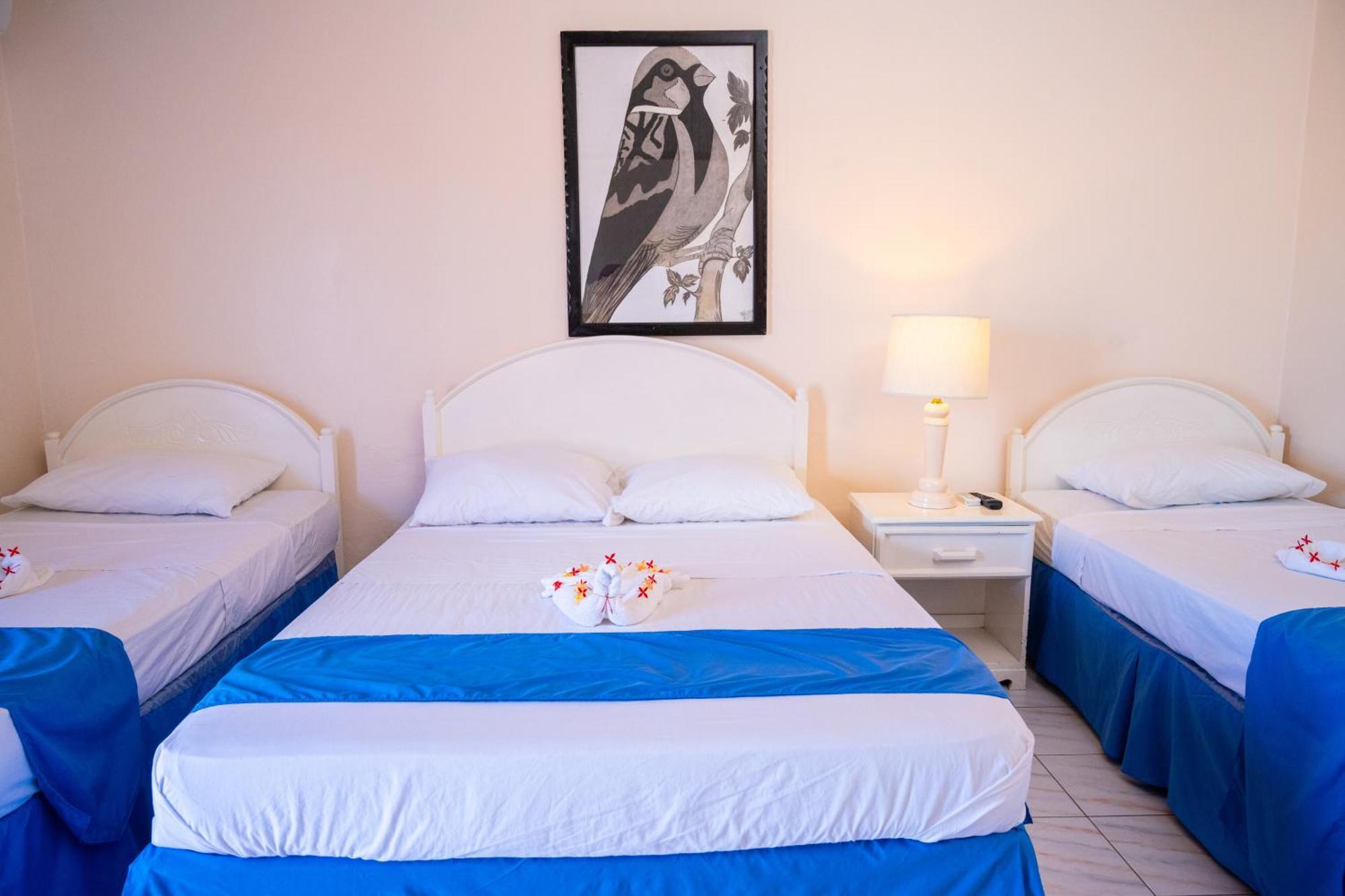 Shields Negril Villas 객실 사진